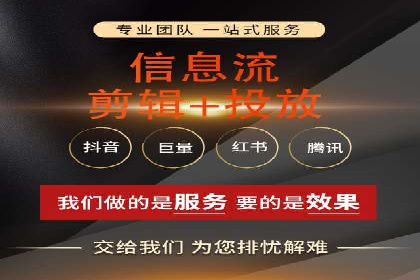专业sem托管服务案例，揭秘广告投放优化策略